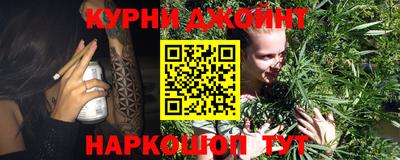 мдпв Можга