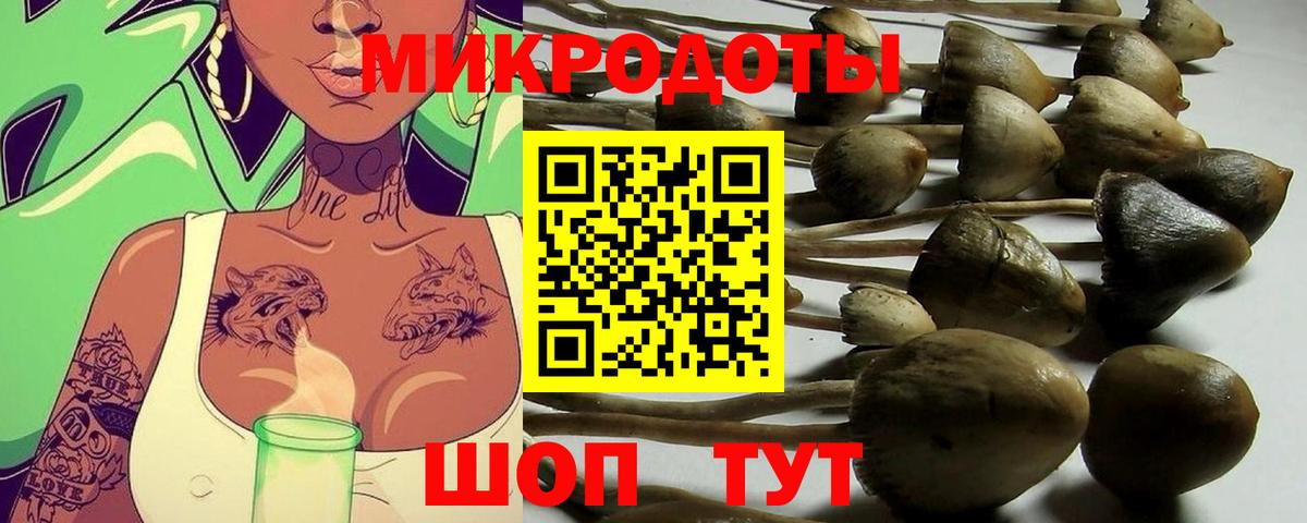 Галлюциногенные грибы прущие грибы Черкесск