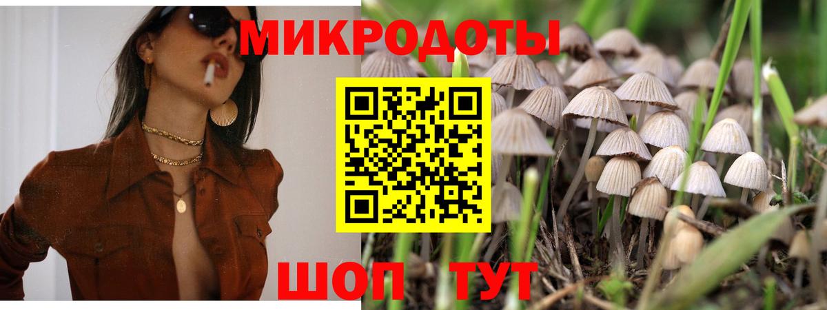 Черкесск  Галлюциногенные грибы MAGIC MUSHROOMS  Вход с VPN 
